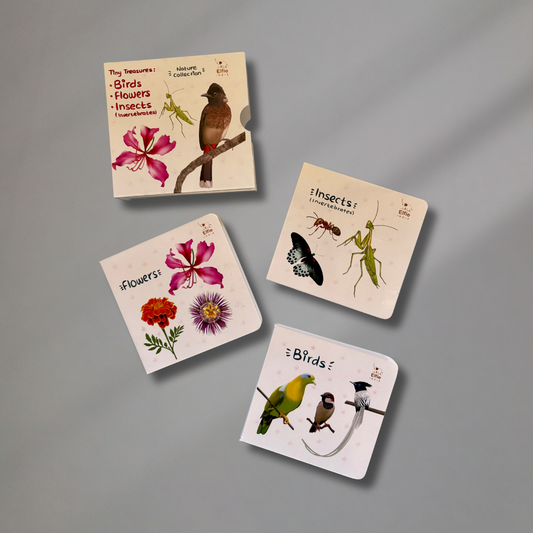 Tiny Treasures: Birds, Flowers and Insects