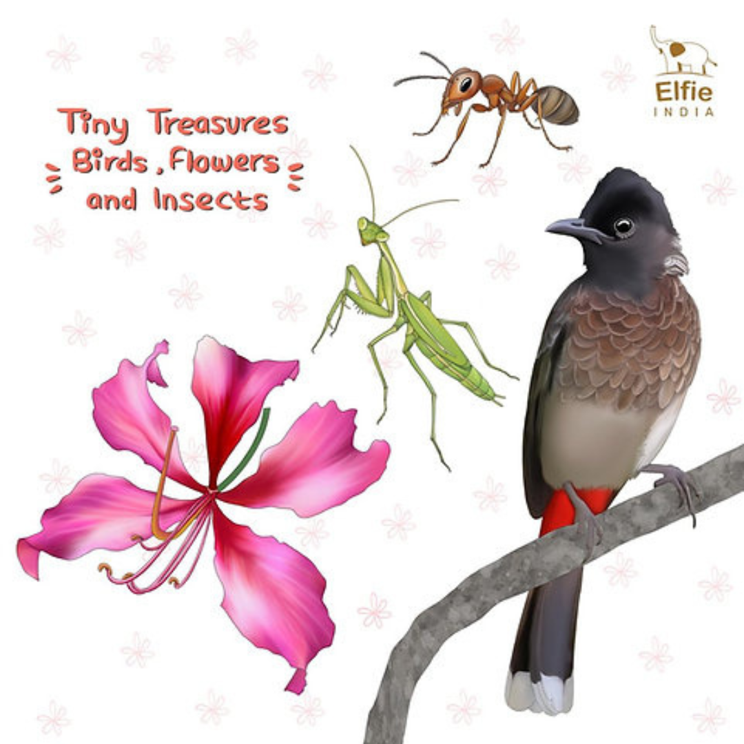 Tiny Treasures: Birds, Flowers and Insects