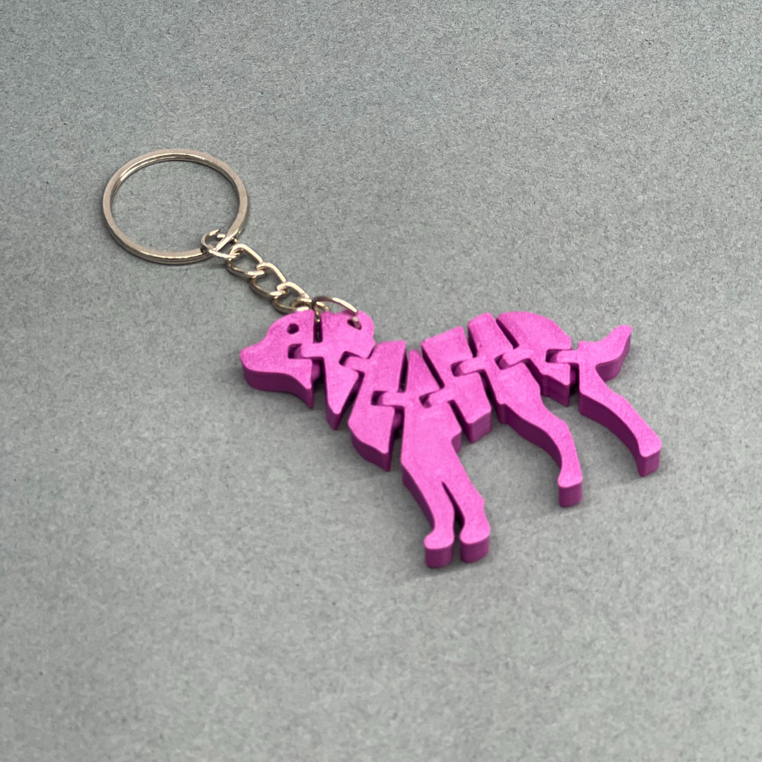 Set of 2 | 3D Printed Flexible Keychain | Cat & Dog